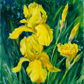 Peinture : Yellow Irises - Oil on Canvas/ cardboard - 30 x 40 cm