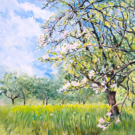 Peinture : Apple trees - Oil on Canvas/ cardboard - 40 x 30 cm