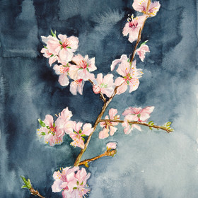 The branch of an almond tree. Watercolor