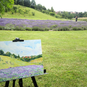Peinture : Lavender Field - Oil on Canvas/ cardboard - 40 x 30 cm