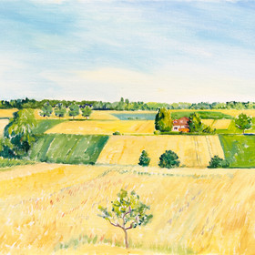 Peinture : The summer field near SI Centrum - Oil on Canvas/ cardboard - 40 x 30 cm