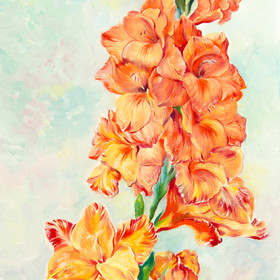 An Orange Gladiolus