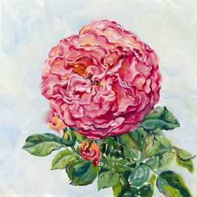 Peinture : The giant rose - Oil on Canvas/ cardboard - 25 x 25 cm