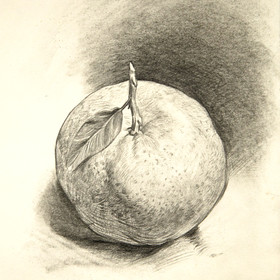 Peinture : Clementine. Drawing - Pencil on paper - 14 x 22 cm