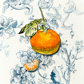 Clementine. Watercolor