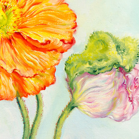 Peinture : Poppies - Oil on canvas/ cardboard (oval) - 30 x 40 cm