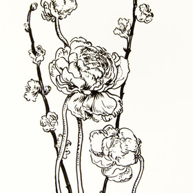 Peinture : Ranunculus and sakura drawing 2 - Pen on paper - 18 x 24 cm