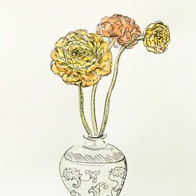 Peinture : Ranunculus in Chinese vase - Pen on paper - 18 x 24 cm