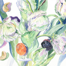 Peinture : White tulips and dried fruits - Watercolor on paper - 24 x 19 cm