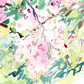 Peinture : Cherry blossom - Watercolor on paper - 26 x 18 cm