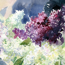 Peinture : Lilac watercolor still life - Watercolor on paper - 40 x 30 cm
