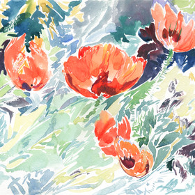 Peinture : Poppies. Plein air watercolor - Watercolor on paper - 32 x 24 cm
