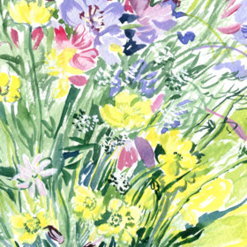 Peinture : Field Flowers on the white background - Watercolor on paper - 30 x 40 cm