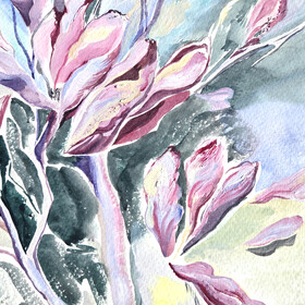 Peinture : Magnolia - Watercolor on paper - 30 x 40 cm
